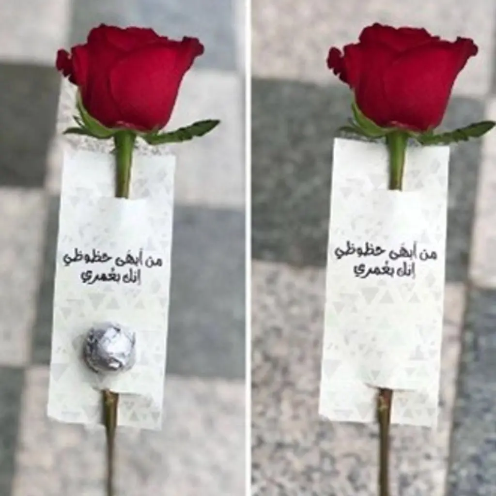تاق "من أبهى حظوظي"